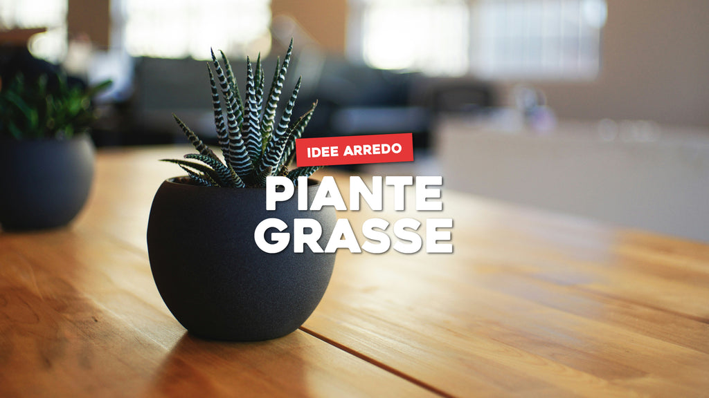 Arredare con piante grasse: tante idee per la tua casa – Simegarden