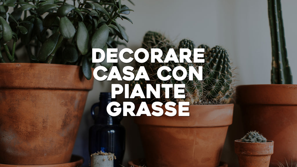 Vasi di ceramica per piante grasse per ambienti interni – AllaRicerca Shop