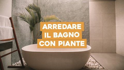 Arredare il bagno con le piante: le idee migliori – Simegarden