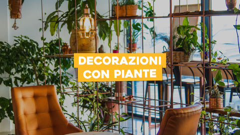 Decorazione Piante: Aggiungi Stile alla Tua Natura