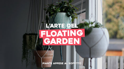 Piante appese al soffitto: l'arte del floating garden