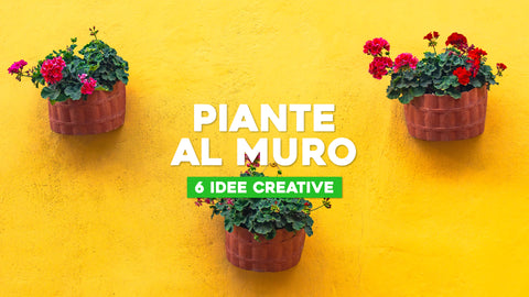 6 idee creative per appendere piante al muro