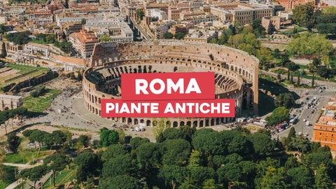 Piante Antiche di Roma: Un Viaggio nella Storia Botanica della Città