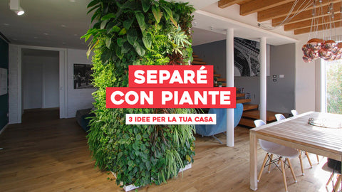 Separé con piante: 3 idee per la tua casa