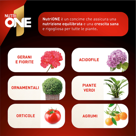 Nutrione essence