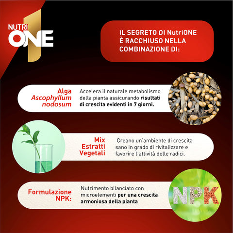 Nutrione essence