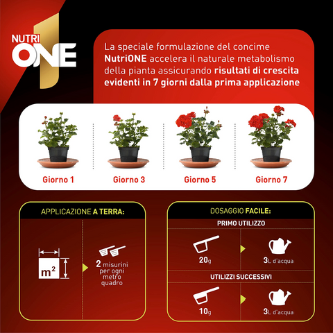 Nutrione essence