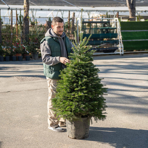 Simegarden Albero di natale 130-150cm