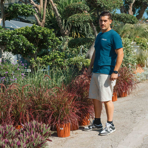 Simegarden Pennisetum fireworks 24 cm