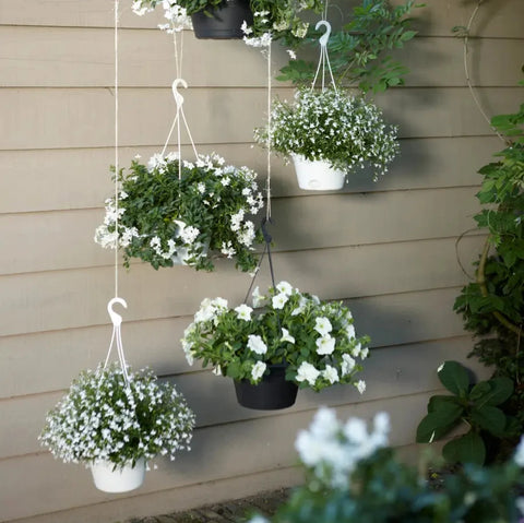 Simegarden Vaso appeso Green basics hanging basket