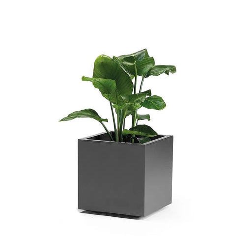 Simegarden Vaso esterno design kebe greener cubo 40 x 40 x 40 cm / Grigio Antracite