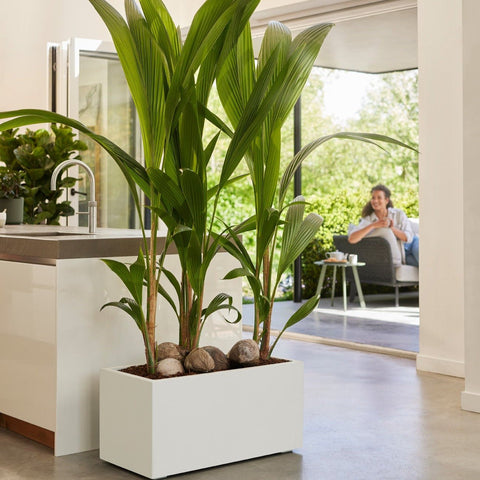 Vasi per piante da interno – Simegarden