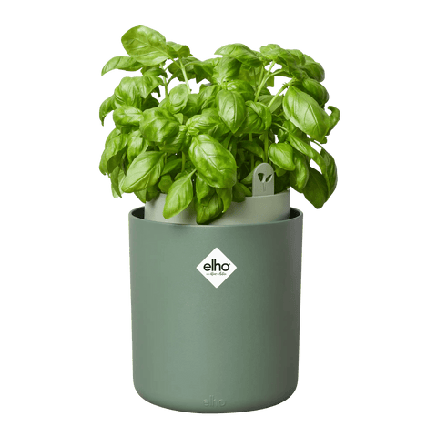 Vaso di plastica da coltivazione – Simegarden
